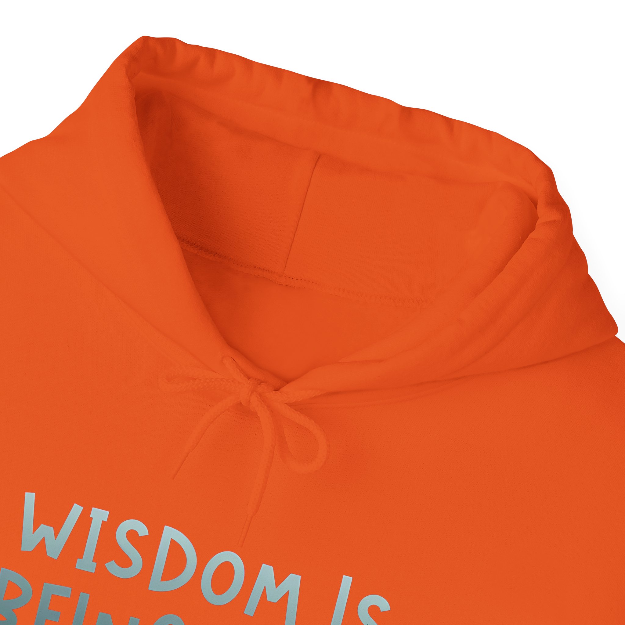 Kind Wisdom – SAGY – Unisex Heavy Blend™ Hooded Sweatshirt - Image 45